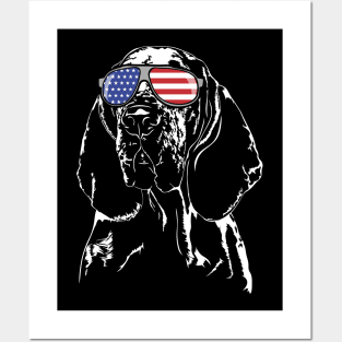 Bracco Italiano American Flag sunglasses patriotic dog Posters and Art